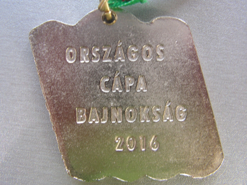 Országos Cápa Bajnokság Országos Cápa Bajnokság